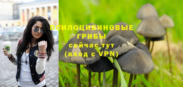 прущий лед Алзамай