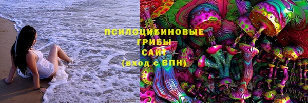прущий лед Алзамай