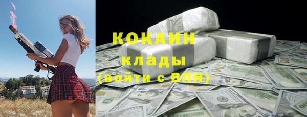 прущий лед Алзамай
