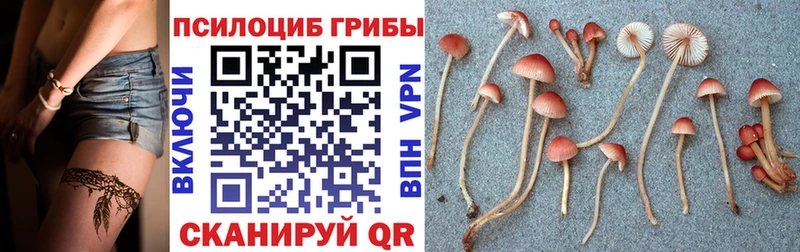 Галлюциногенные грибы ЛСД Петровск